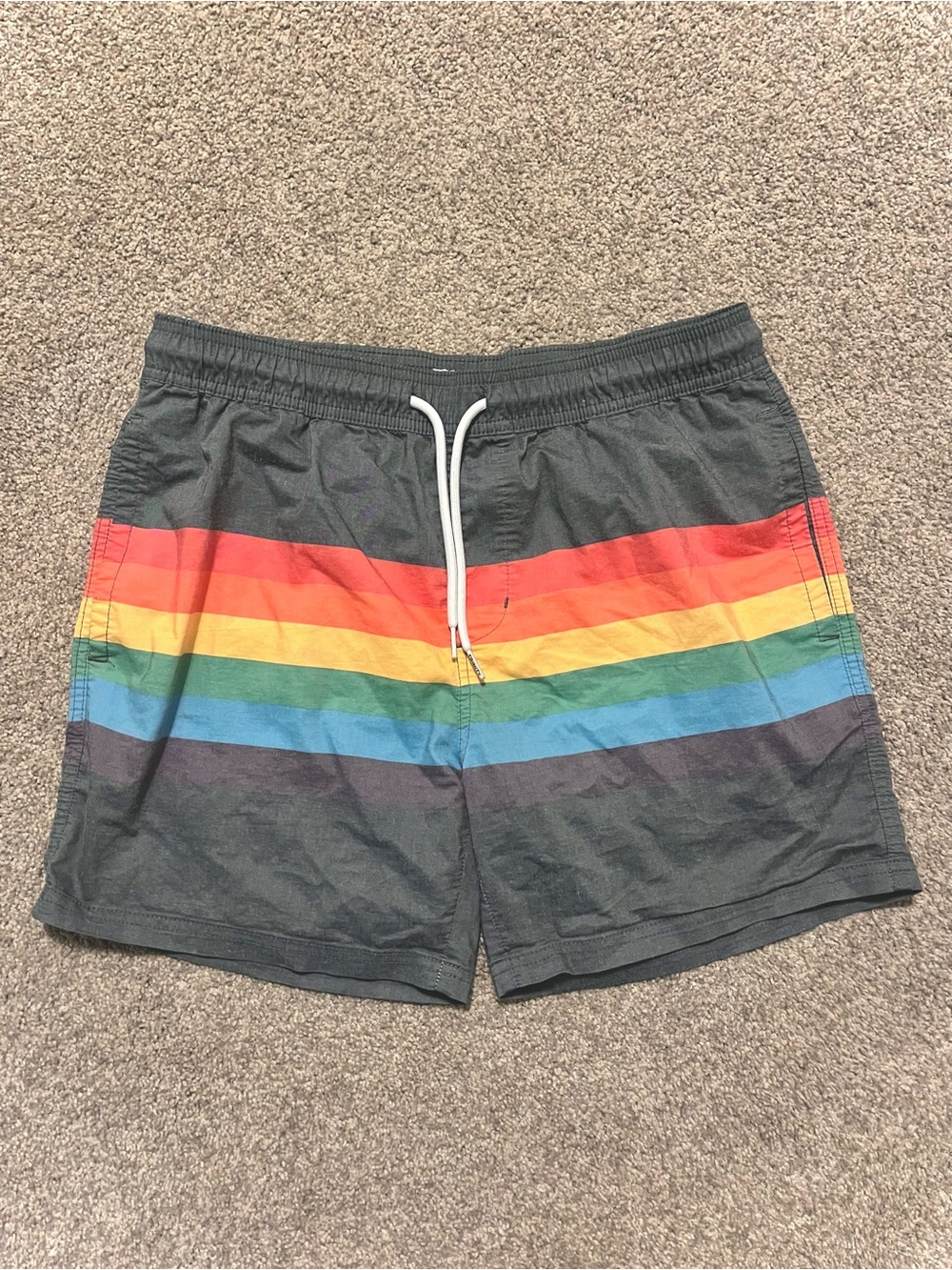 Trinity Collective Men's Dark Gray Swim Trunks with Rainbow Stripe, Size M
